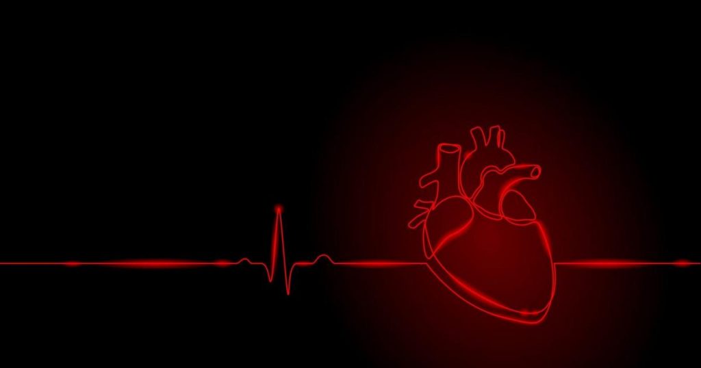 سیگنال صوتی در تصویر برداری مربوط به قلب